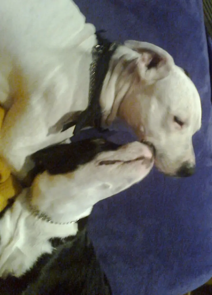 Condolence image of Sabine 