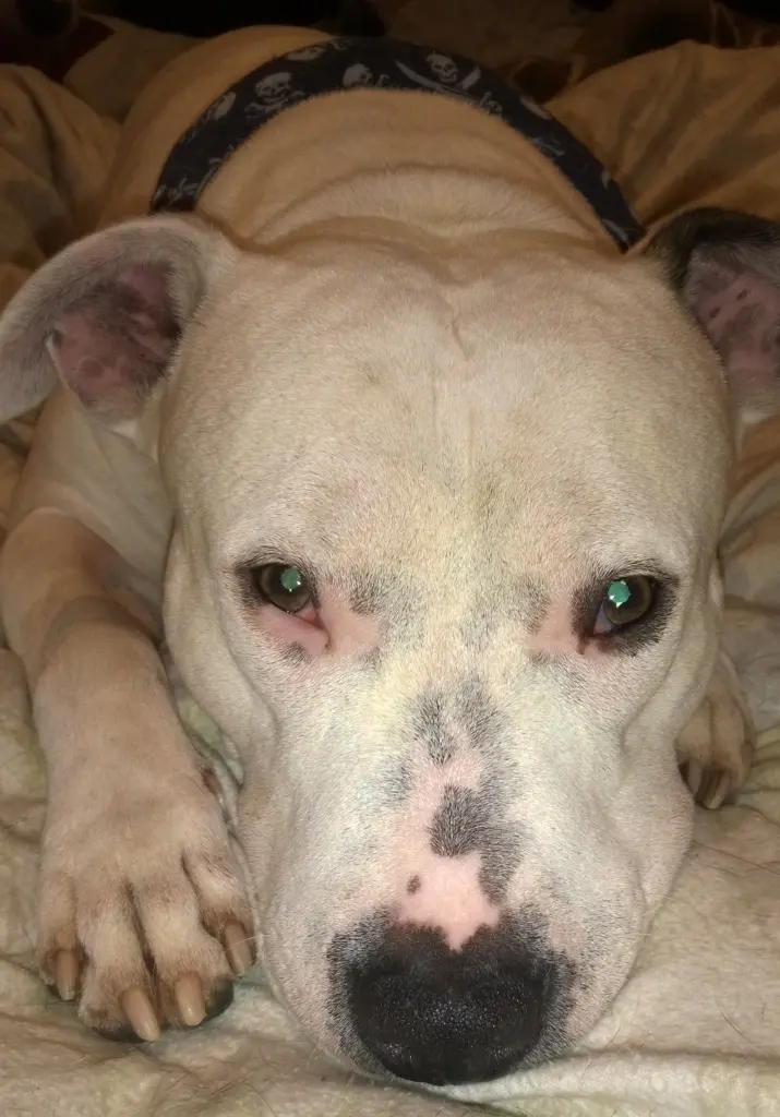 Condolence image of Olli