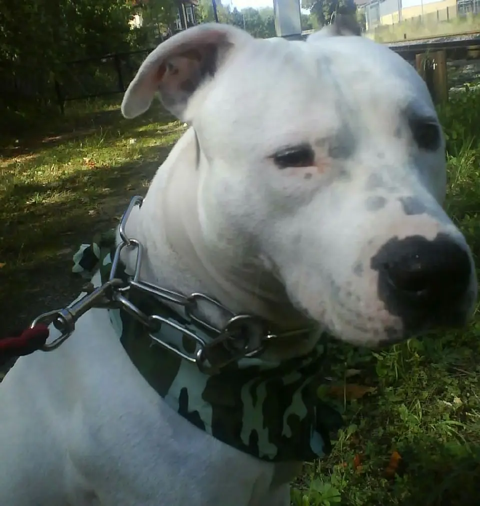 Condolence image of Olli