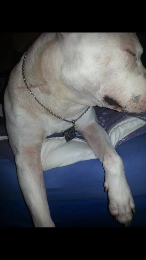 Condolence image of Olli