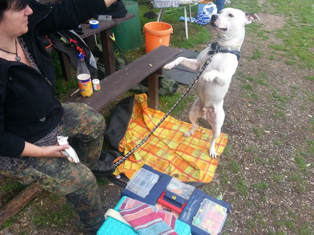 Condolence image of Olli