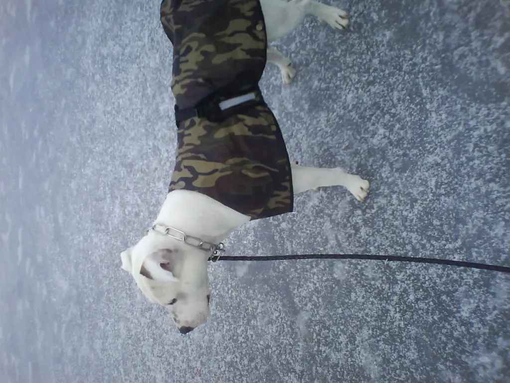 Condolence image of Olli