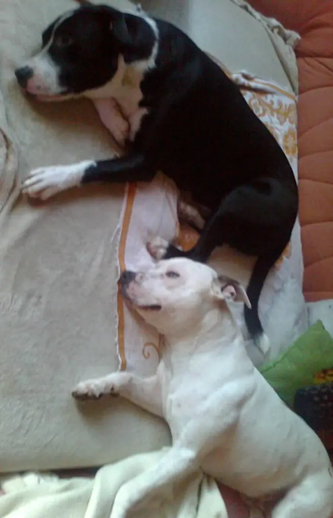 Condolence image of Olli und Sabine