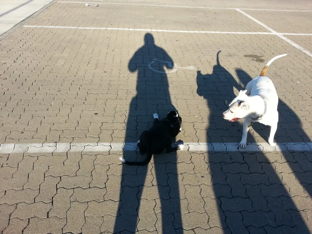 Condolence image of Sabine und Olli
