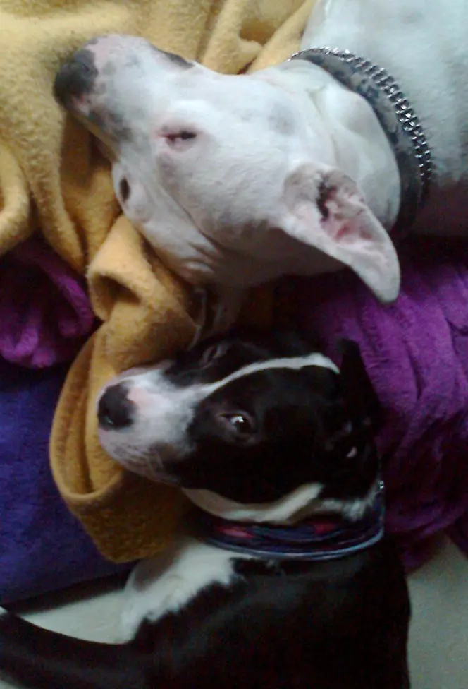 Condolence image of Olli und sabine