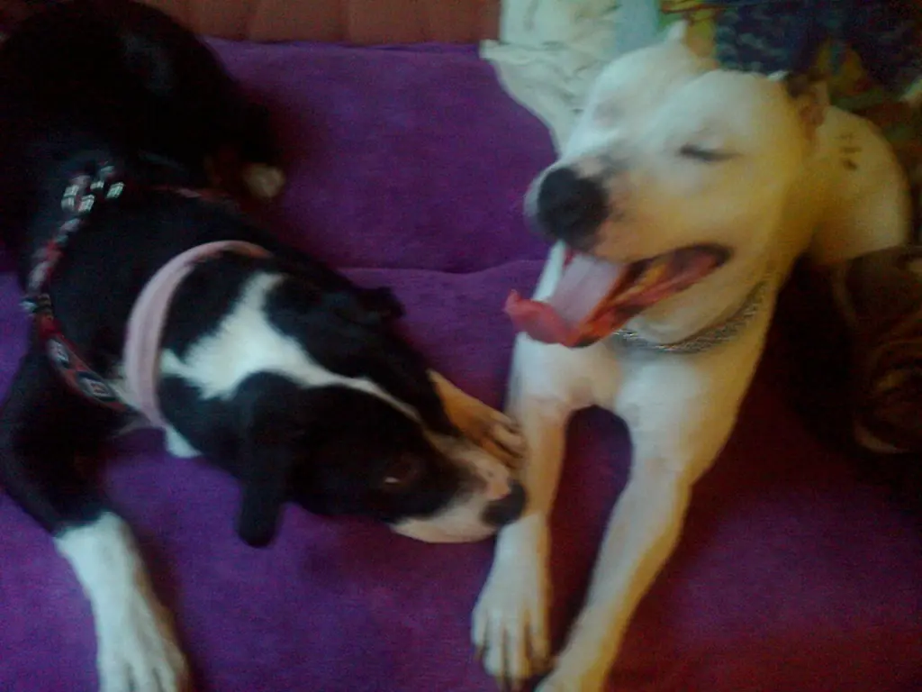 Condolence image of Olli und sabine