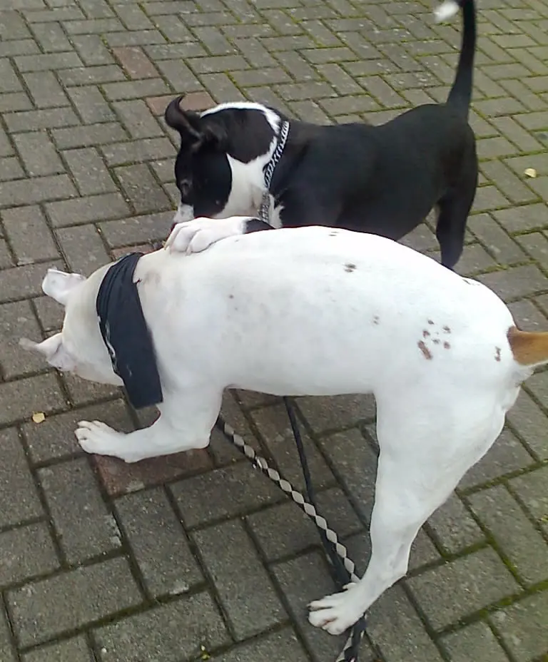 Condolence image of Olli und sabine
