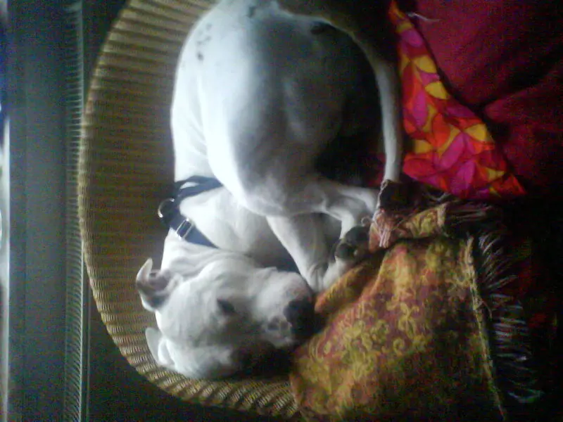 Condolence image of Sabine und Olli