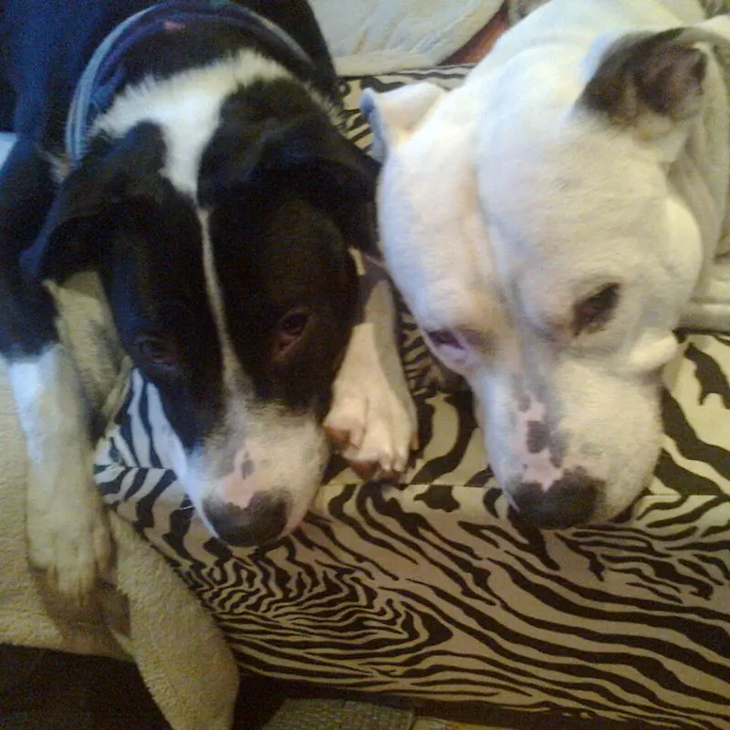 Condolence image of Olli und sabine 