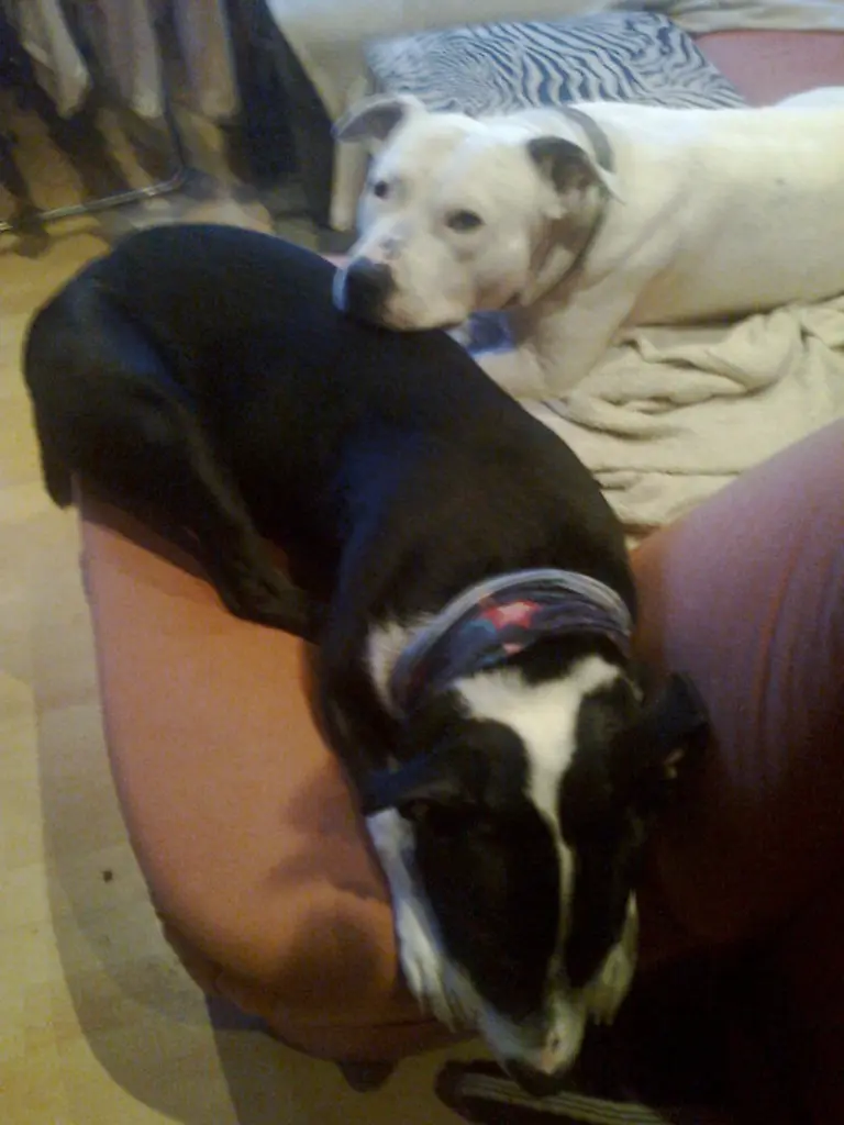 Condolence image of Olli und sabine 
