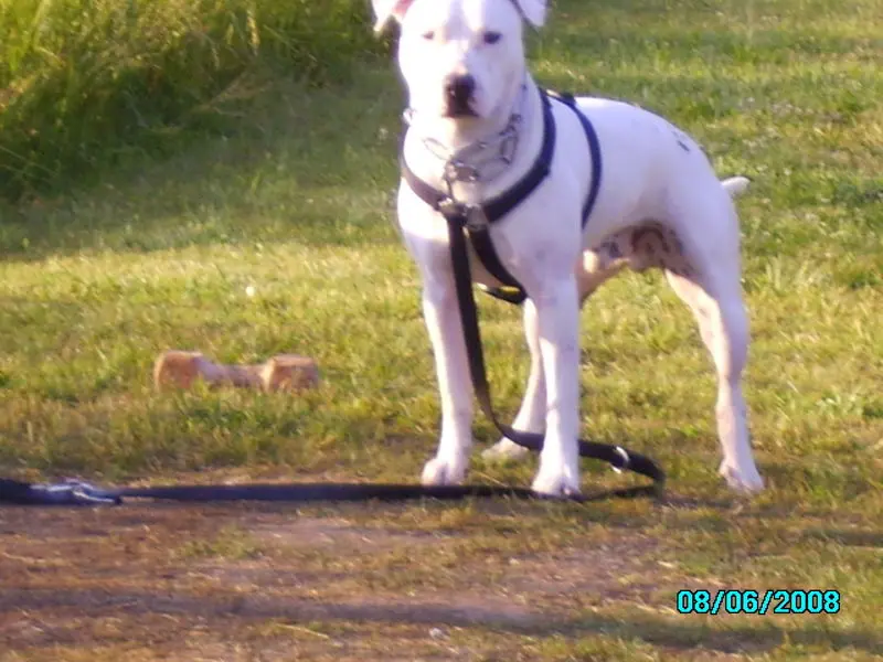 Condolence image of Sabine und Olli