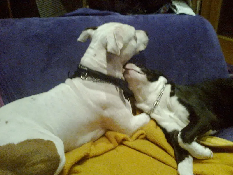 Condolence image of Olli und sabine 