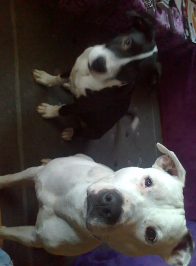 Condolence image of Olli und sabine 