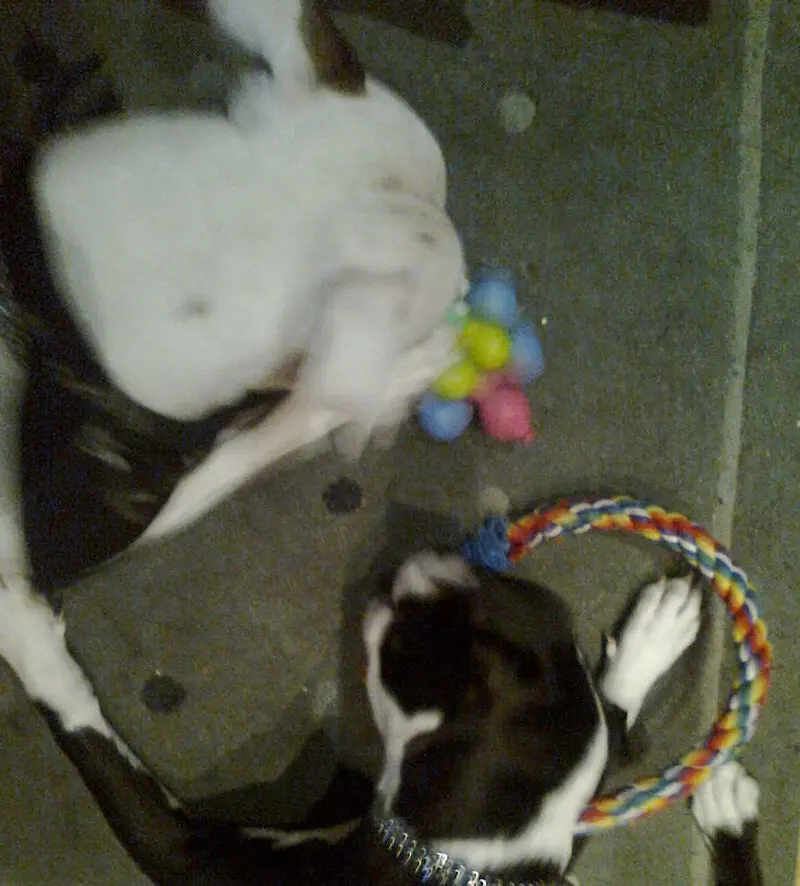 Condolence image of Olli und sabine