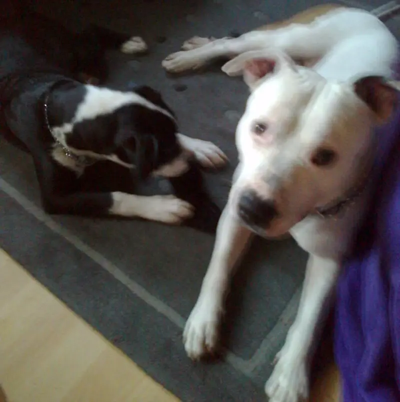 Condolence image of Olli und sabine