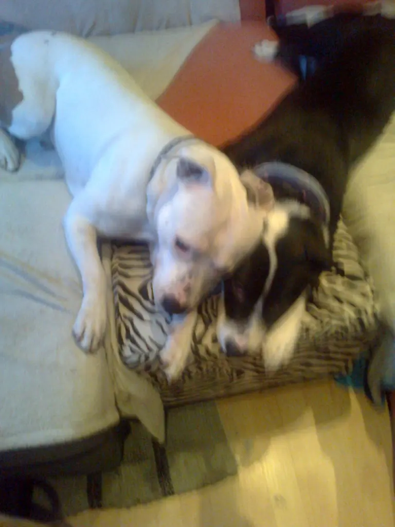 Condolence image of Olli und sabine