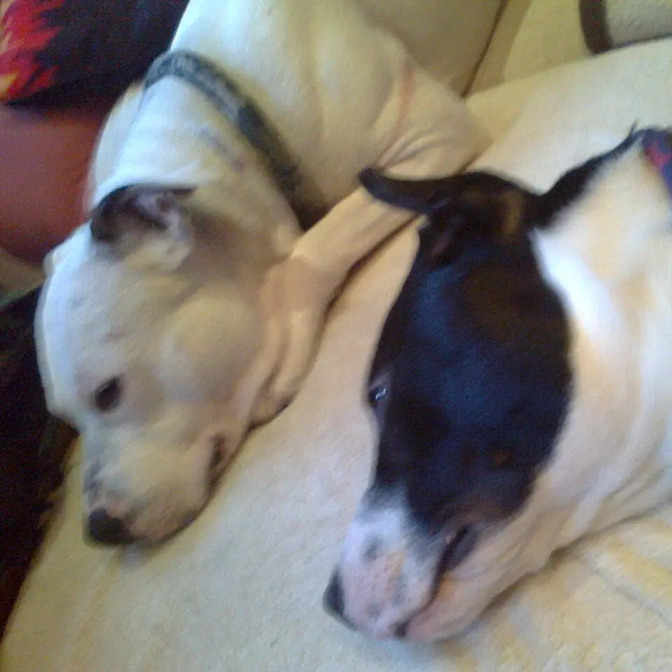 Condolence image of Olli und sabine