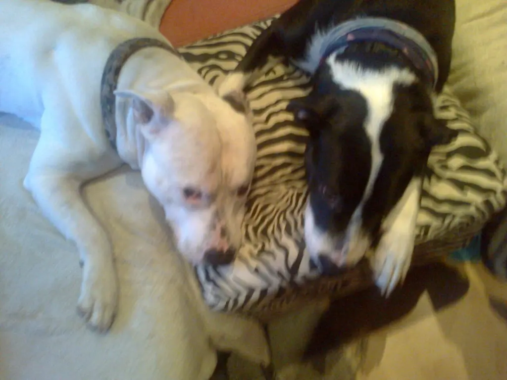 Condolence image of Olli und sabine