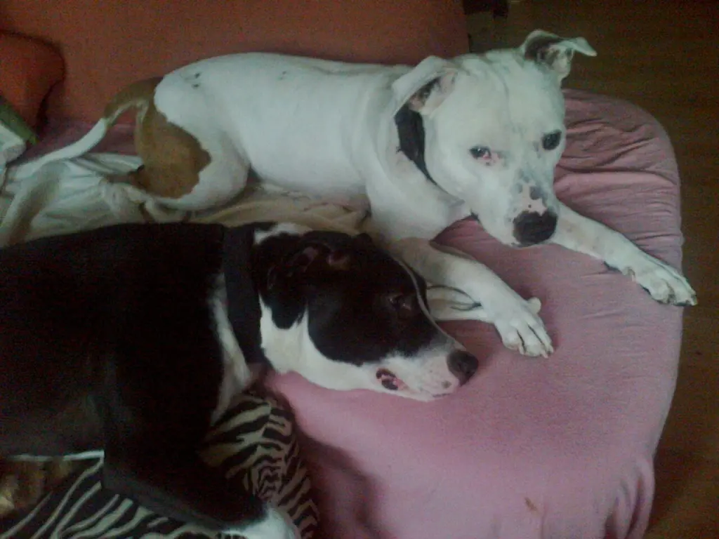 Condolence image of Olli und sabine