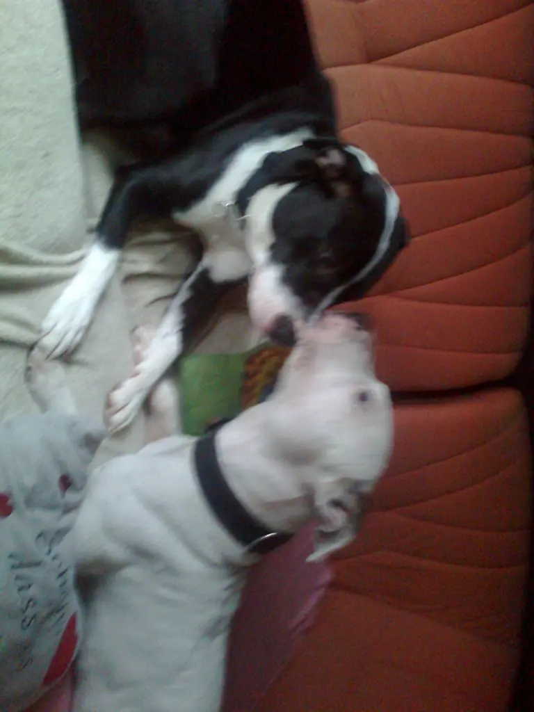 Condolence image of Olli und sabine
