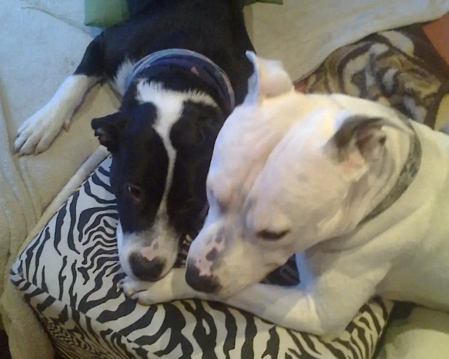 Condolence image of Olli und sabine 