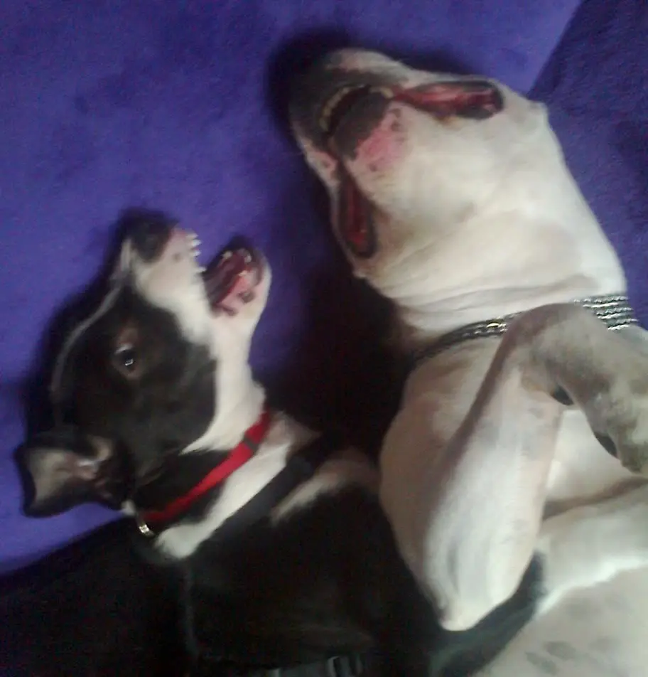 Condolence image of Olli und sabine 