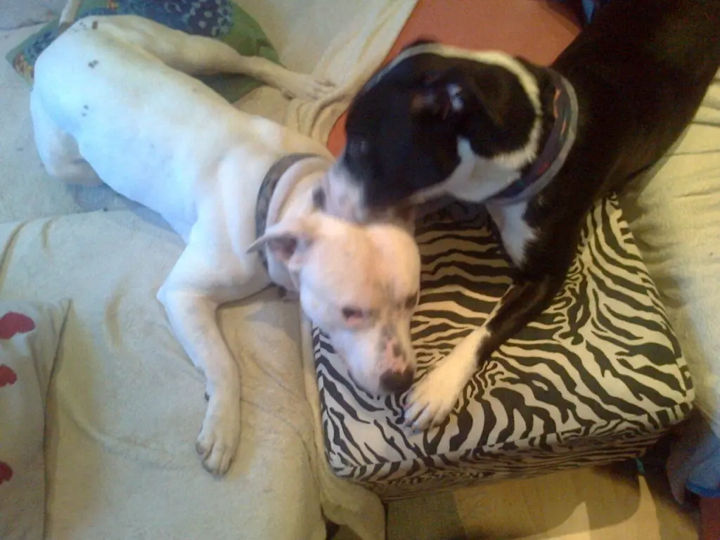 Condolence image of Olli und sabine 