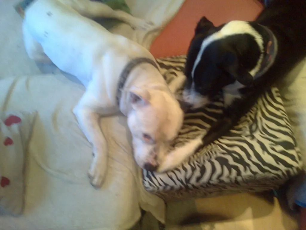 Condolence image of Olli und sabine 