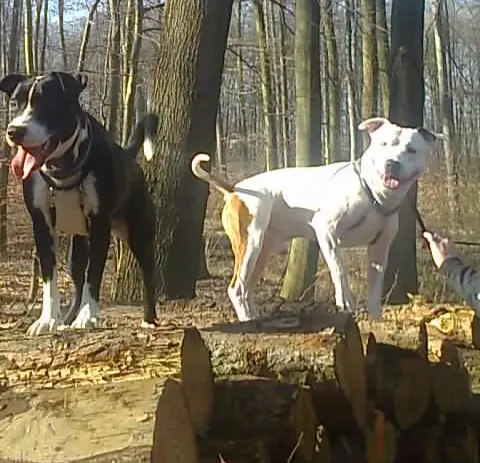 Condolence image of Olli und Sabine