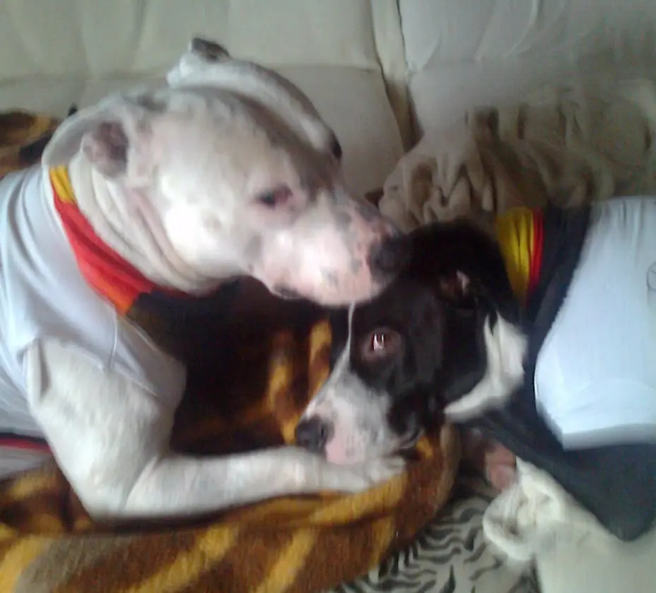 Condolence image of Olli und Sabine