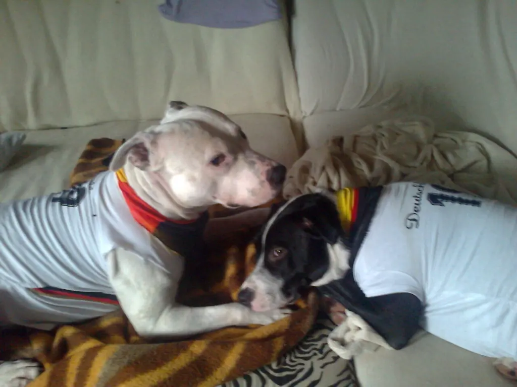 Condolence image of Olli und Sabine 