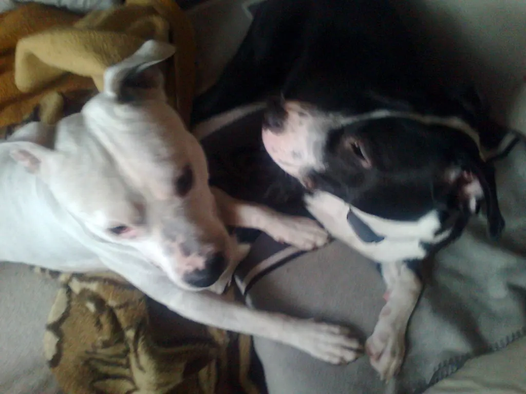 Condolence image of Olli und Sabine 