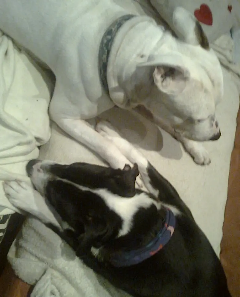 Condolence image of Olli und Sabine