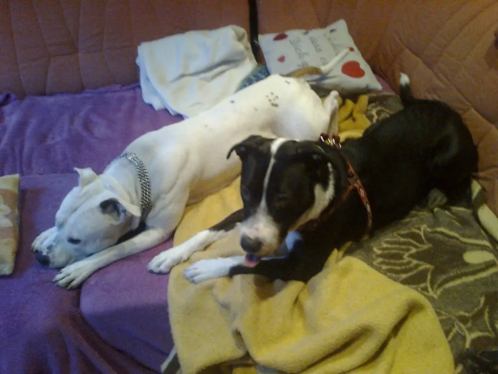 Condolence image of Olli und Sabine 