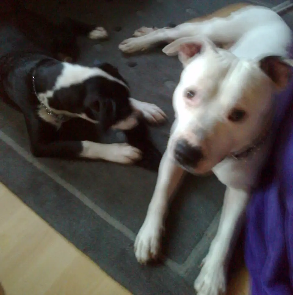 Condolence image of Olli und Sabine