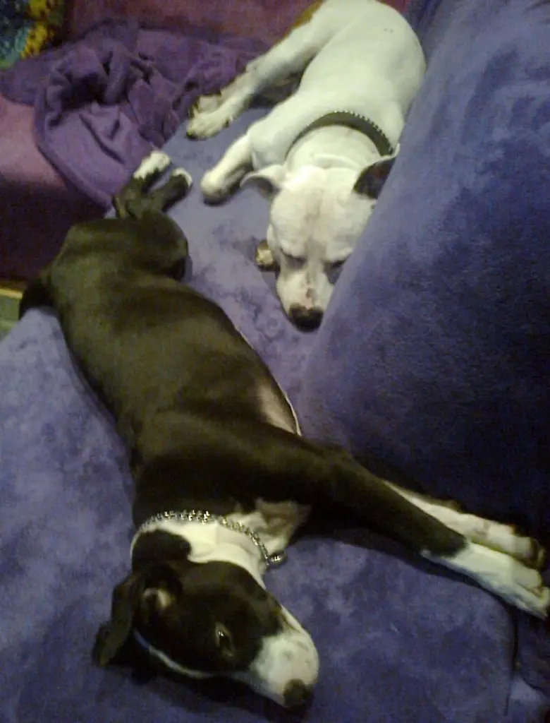 Condolence image of Olli und Sabine