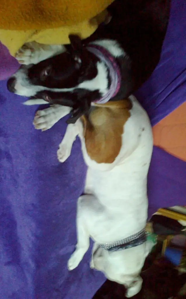 Condolence image of Olli und Sabine