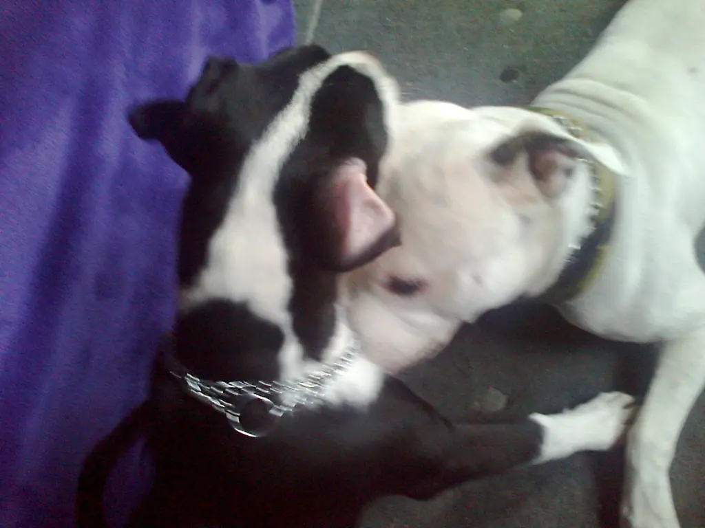 Condolence image of Olli und Sabine