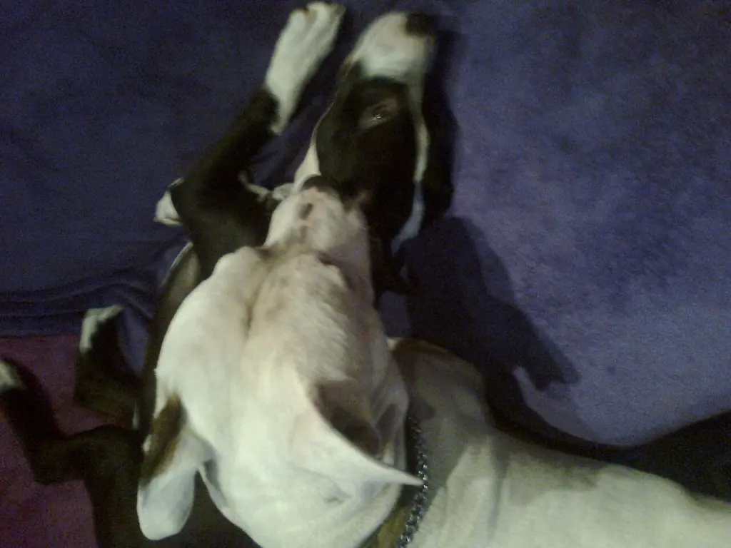 Condolence image of Olli und Sabine