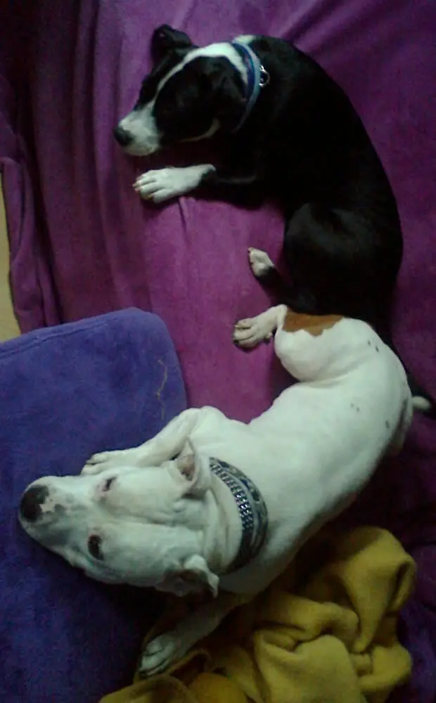 Condolence image of Olli und Sabine