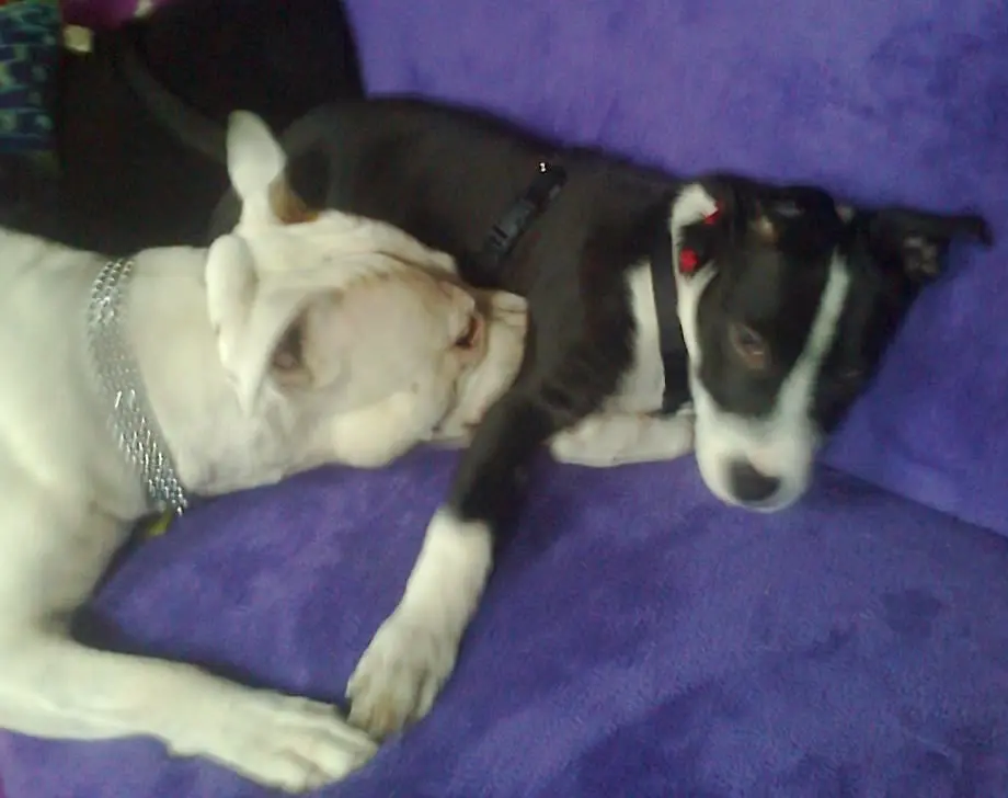 Condolence image of Olli und Sabine 