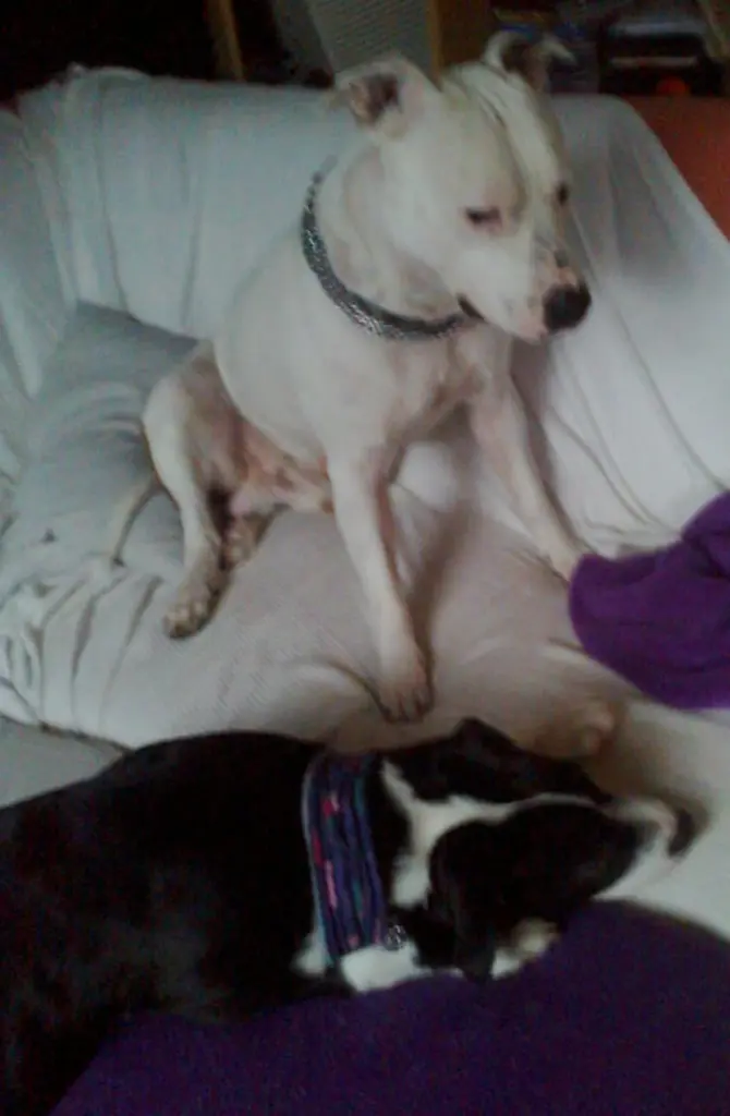 Condolence image of Olli und Sabine 