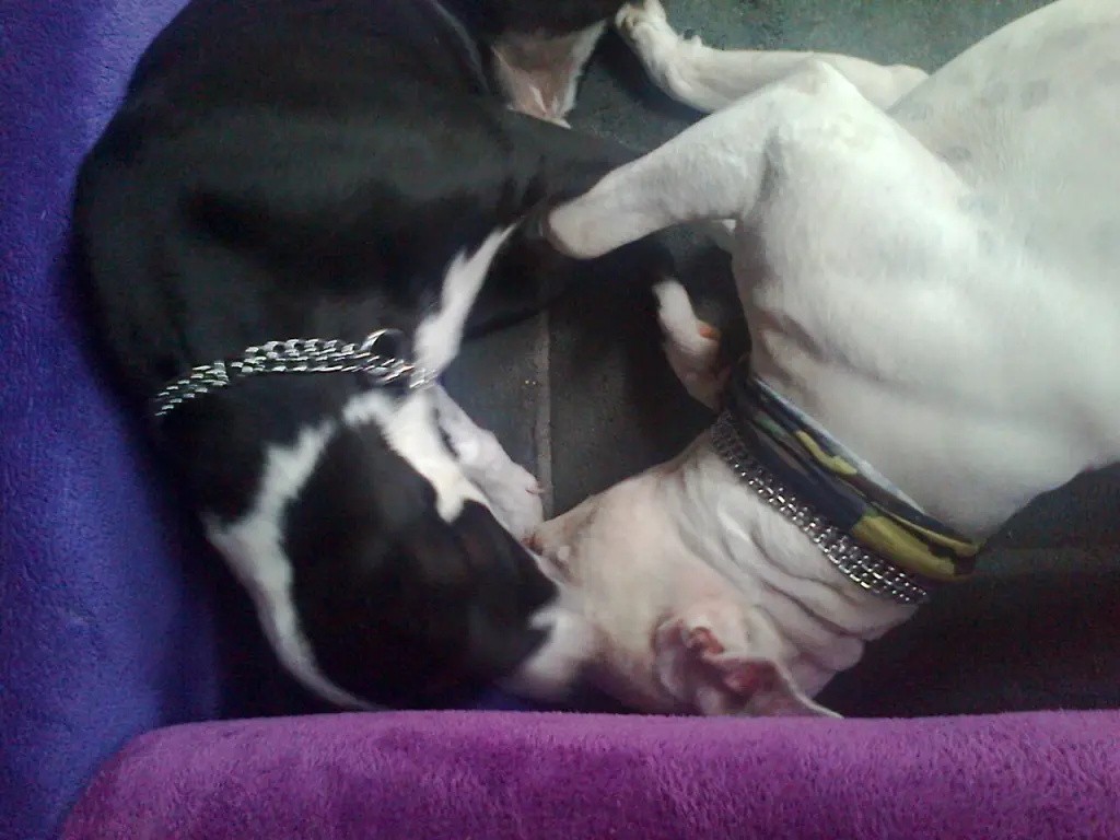 Condolence image of Olli und Sabine