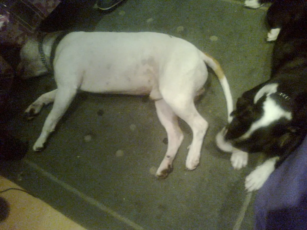 Condolence image of Olli und Sabine