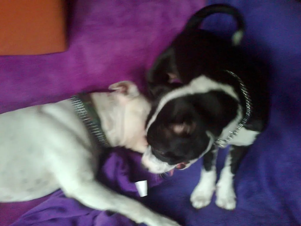 Condolence image of Olli und Sabine