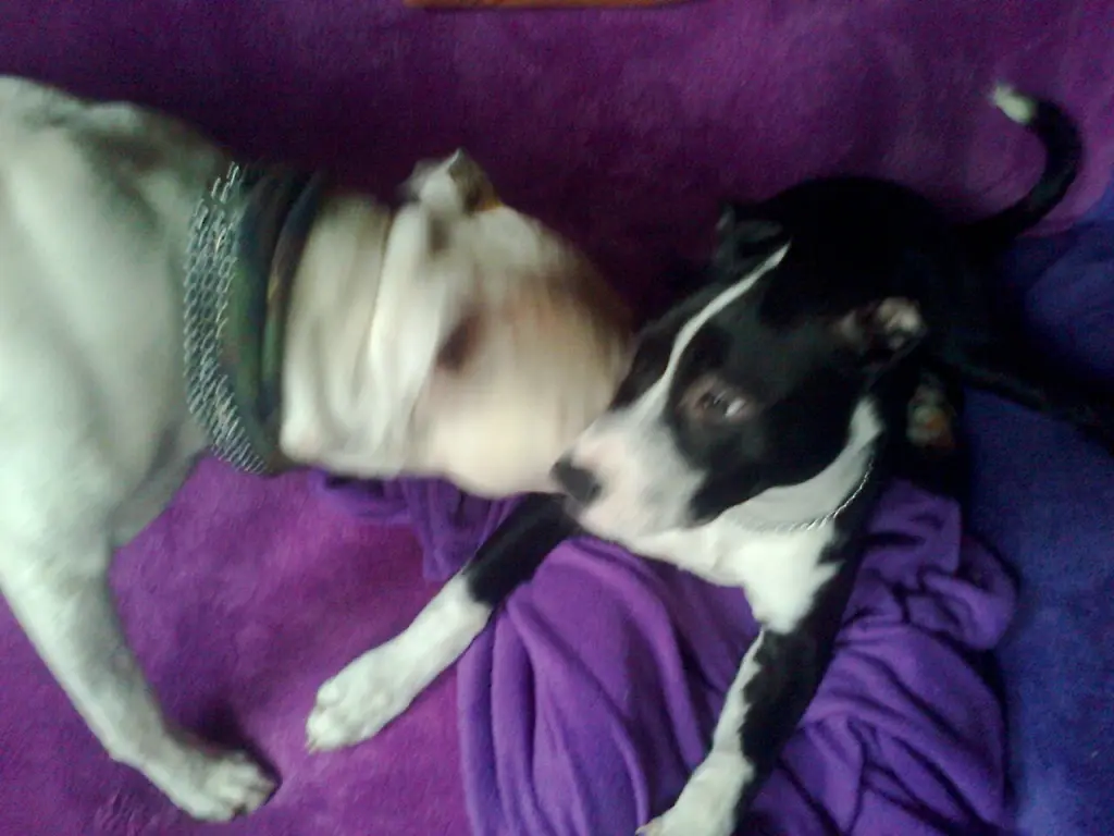 Condolence image of Olli und Sabine