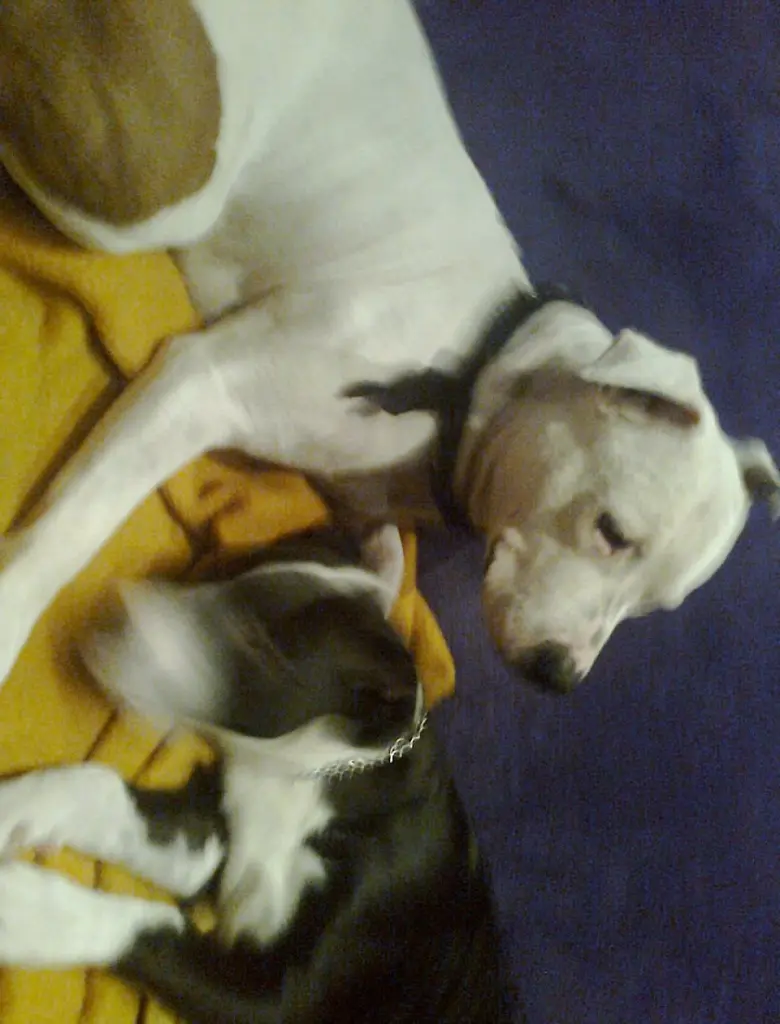 Condolence image of Olli und Sabine