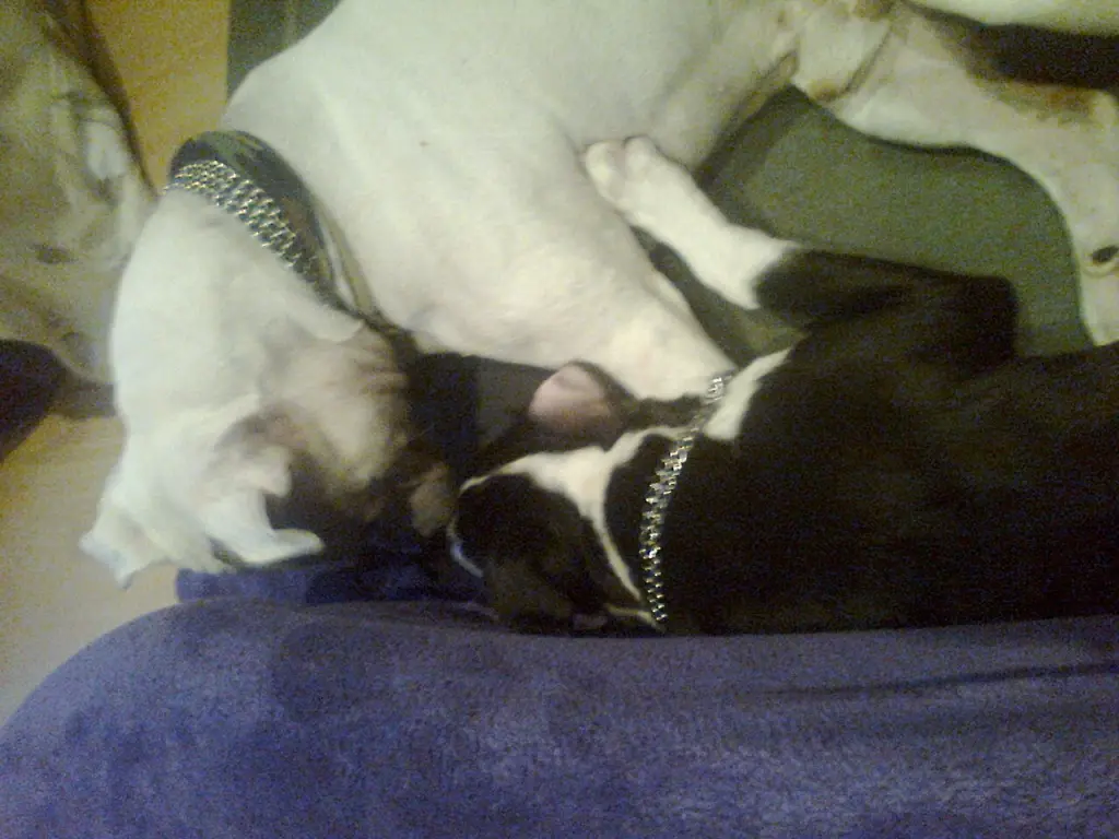 Condolence image of Olli und Sabine