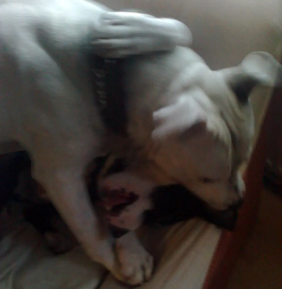 Condolence image of Olli und Sabine 