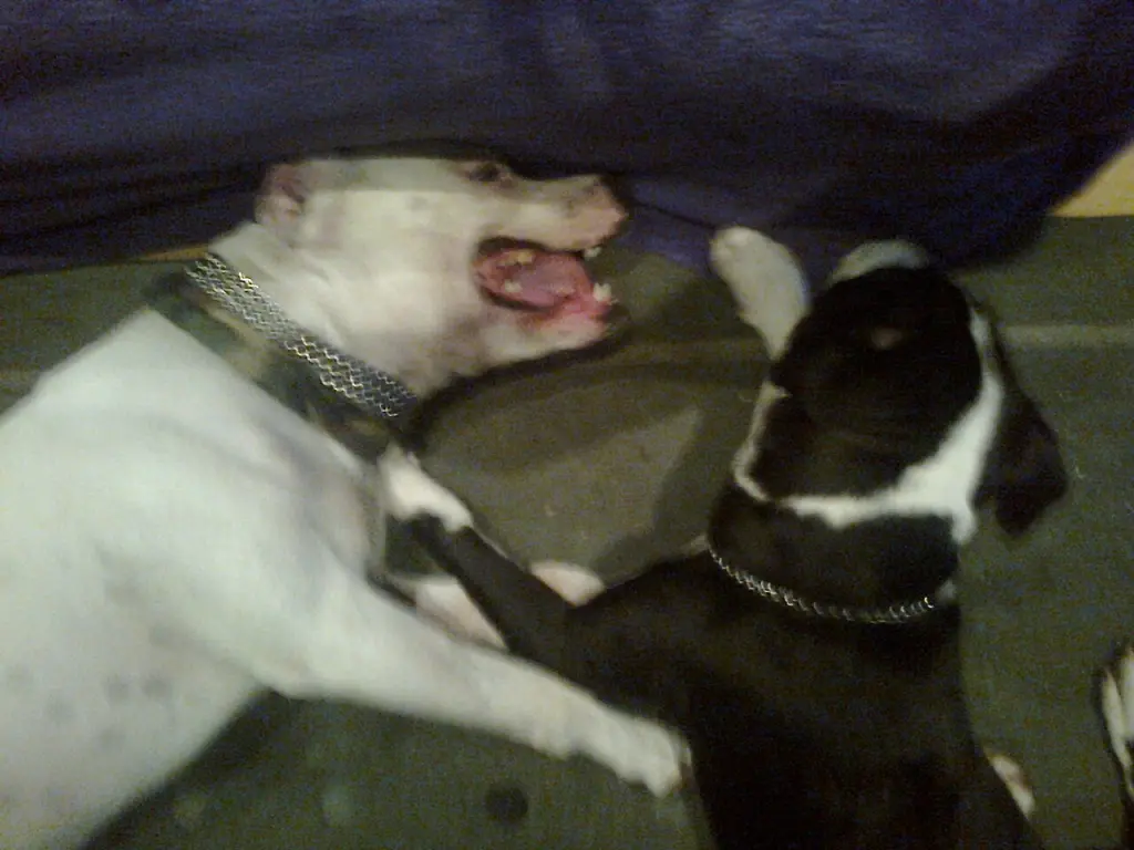 Condolence image of Olli und Sabine 